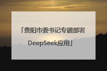 贵阳市委书记专题部署DeepSeek应用