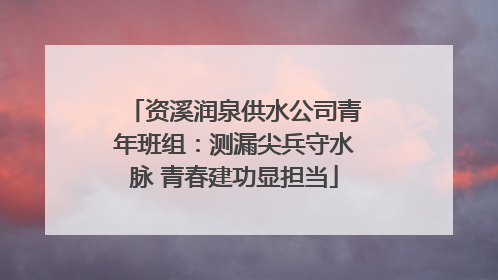 资溪润泉供水公司青年班组：测漏尖兵守水脉 青春建功显担当
