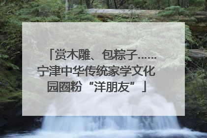 赏木雕、包粽子……宁津中华传统家学文化园圈粉“洋朋友”
