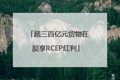 超三百亿元货物在厦享RCEP红利