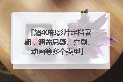 超40部影片定档暑期，涵盖悬疑、喜剧、动画等多个类型