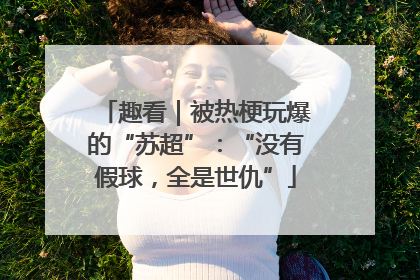 趣看｜被热梗玩爆的“苏超”：“没有假球，全是世仇”