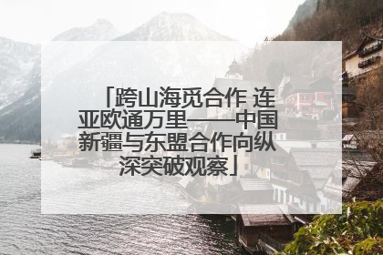 跨山海觅合作 连亚欧通万里——中国新疆与东盟合作向纵深突破观察