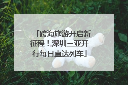 跨海旅游开启新征程！深圳三亚开行每日直达列车
