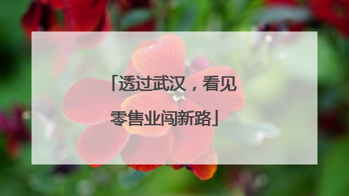 透过武汉，看见零售业闯新路