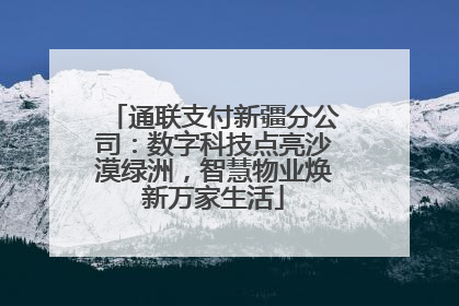通联支付新疆分公司：数字科技点亮沙漠绿洲，智慧物业焕新万家生活