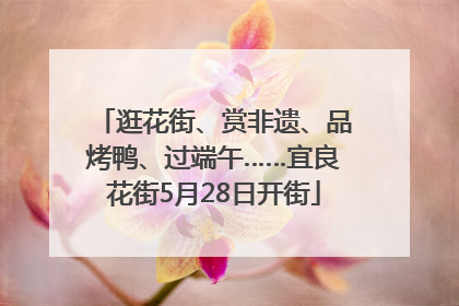 逛花街、赏非遗、品烤鸭、过端午……宜良花街5月28日开街
