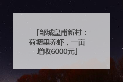 邹城皇甫新村：荷塘里养虾，一亩增收6000元