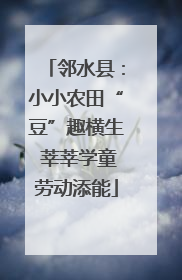 邻水县：小小农田“豆”趣横生 莘莘学童劳动添能