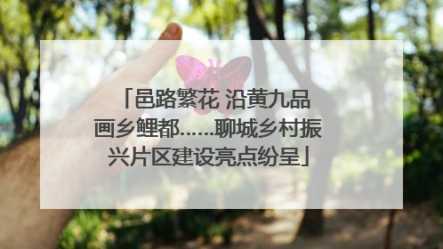 邑路繁花 沿黄九品 画乡鲤都……聊城乡村振兴片区建设亮点纷呈
