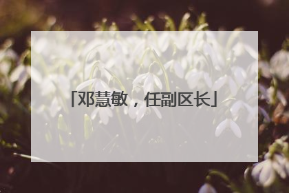 邓慧敏，任副区长