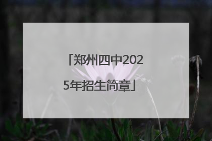 郑州四中2025年招生简章