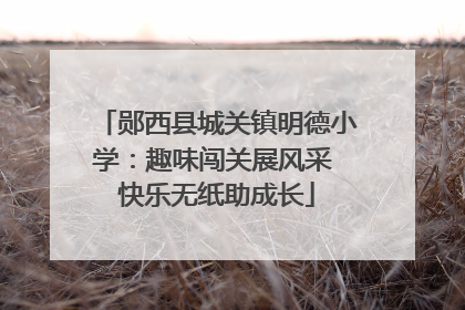 郧西县城关镇明德小学：趣味闯关展风采 快乐无纸助成长