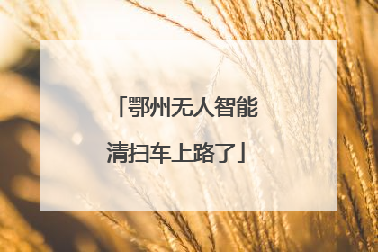 鄂州无人智能清扫车上路了