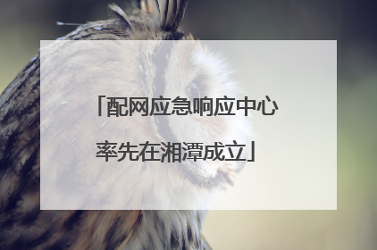 配网应急响应中心率先在湘潭成立