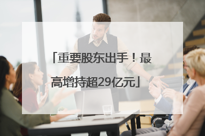重要股东出手！最高增持超29亿元