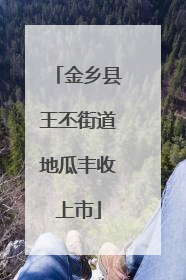 金乡县王丕街道地瓜丰收上市