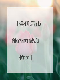 金价后市能否再破高位？