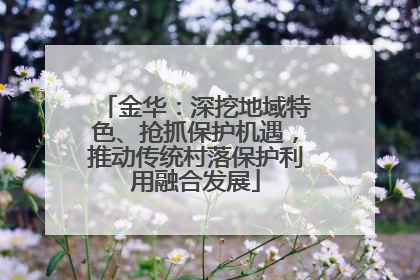 金华：深挖地域特色、抢抓保护机遇，推动传统村落保护利用融合发展