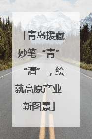 青岛援藏妙笔“青”“清”，绘就高原产业新图景