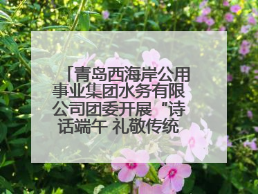 青岛西海岸公用事业集团水务有限公司团委开展“诗话端午 礼敬传统”主题活动