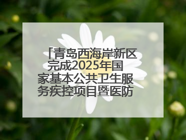 青岛西海岸新区完成2025年国家基本公共卫生服务疾控项目暨医防融合督导工作