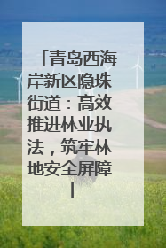 青岛西海岸新区隐珠街道：高效推进林业执法，筑牢林地安全屏障