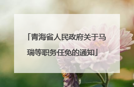 青海省人民政府关于马瑞等职务任免的通知