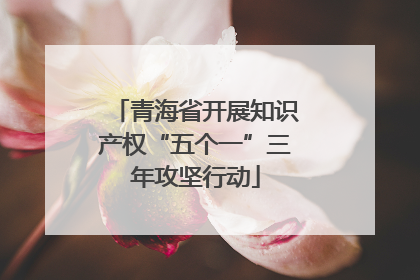 青海省开展知识产权“五个一”三年攻坚行动