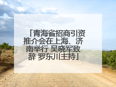 青海省招商引资推介会在上海、济南举行 吴晓军致辞 罗东川主持