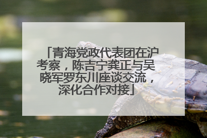 青海党政代表团在沪考察，陈吉宁龚正与吴晓军罗东川座谈交流，深化合作对接