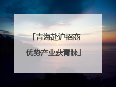 青海赴沪招商 优势产业获青睐