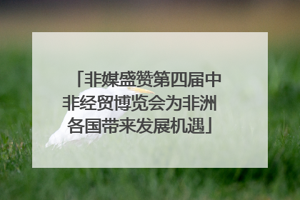 非媒盛赞第四届中非经贸博览会为非洲各国带来发展机遇