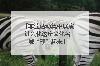 非遗活动集中展演 让兴化这座文化名城“靓”起来