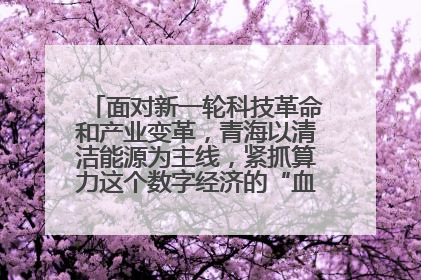 面对新一轮科技革命和产业变革，青海以清洁能源为主线，紧抓算力这个数字经济的“血液”、科技主权的“筹码”、产业升级的“杠杆”、绿色转型的“支点”，勇于撬动国家“双碳”战略、“东数西算”工程重大发展新机遇，点亮绿色算电协同新赛道，蹚出一条符合本地实际的高质量发展之路——青海：“绿色算力” 锚定“东数西算”国家战略布局