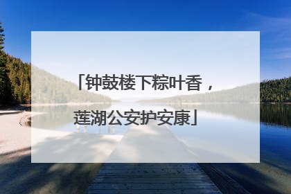 钟鼓楼下粽叶香，莲湖公安护安康