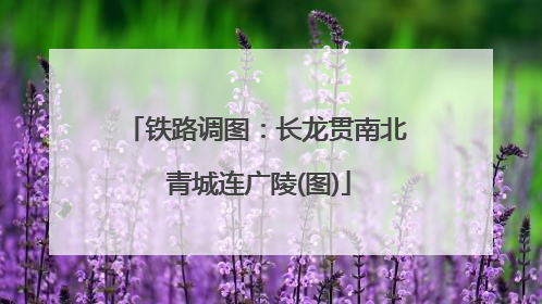 铁路调图：长龙贯南北 青城连广陵(图)