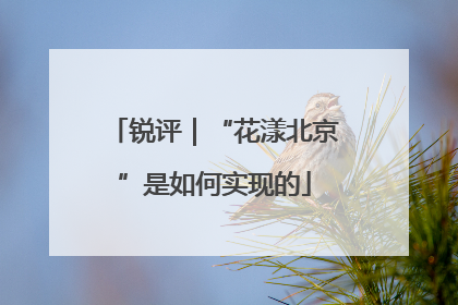锐评｜“花漾北京”是如何实现的