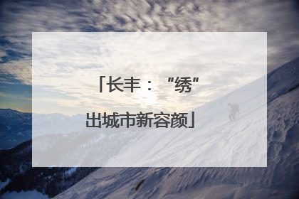 长丰：“绣”出城市新容颜