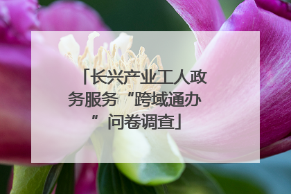 长兴产业工人政务服务“跨域通办”问卷调查