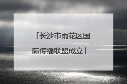长沙市雨花区国际传播联盟成立