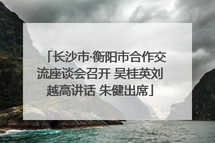 长沙市·衡阳市合作交流座谈会召开 吴桂英刘越高讲话 朱健出席