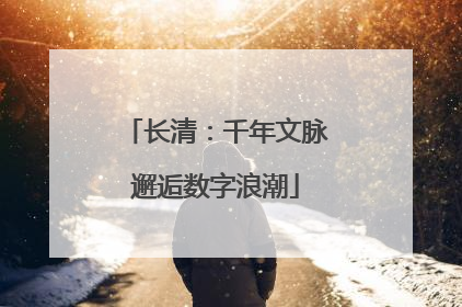 长清：千年文脉邂逅数字浪潮