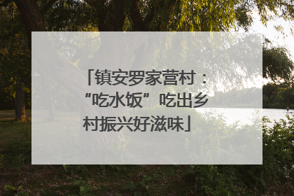 镇安罗家营村：“吃水饭”吃出乡村振兴好滋味