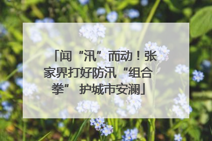 闻“汛”而动！张家界打好防汛“组合拳” 护城市安澜