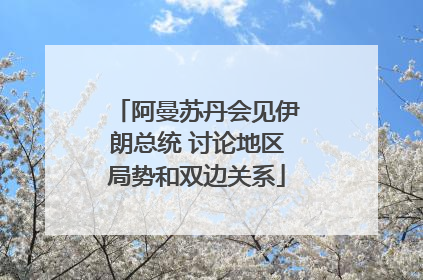 阿曼苏丹会见伊朗总统 讨论地区局势和双边关系