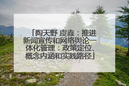 陶天野 虞鑫：推进新闻宣传和网络舆论一体化管理：政策定位、概念内涵和实践路径