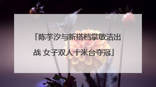 陈芋汐与新搭档掌敏洁出战 女子双人十米台夺冠