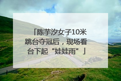 陈芋汐女子10米跳台夺冠后，现场看台下起“娃娃雨”