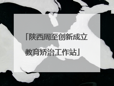 陕西周至创新成立教育矫治工作站